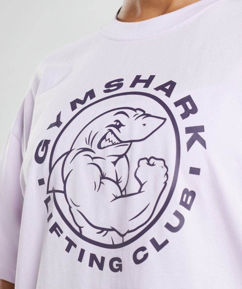 Women's Gymshark Legacy Oversized T-Shirts Light Purple | CA D0678A